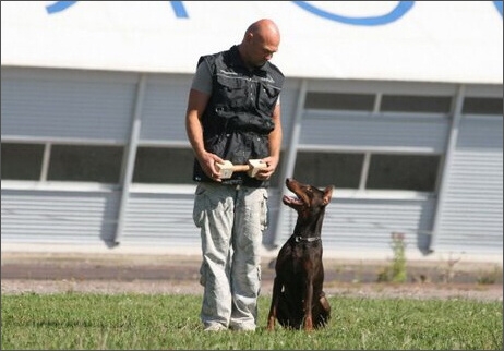 Sasha - Estonia championship 2007  in IPO 3